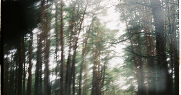 The Tale That Enchanted Everyone: The Lost Tune Meets the Great O (Film)