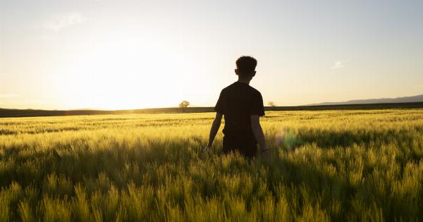 Braking for relaxation: tips for a soothing evening