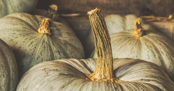 Nutritious Autumn Vegetables: A Visual Guide