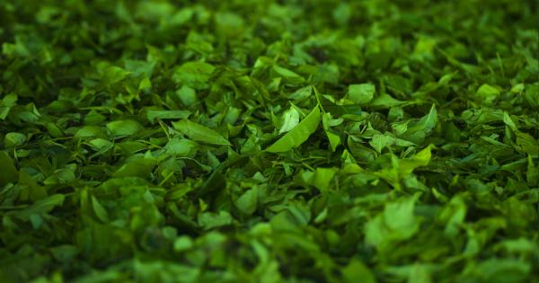 Mastering the art of herb pastry-making