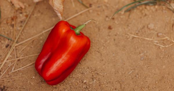 Eliminate herpes itch with these veggie heroes