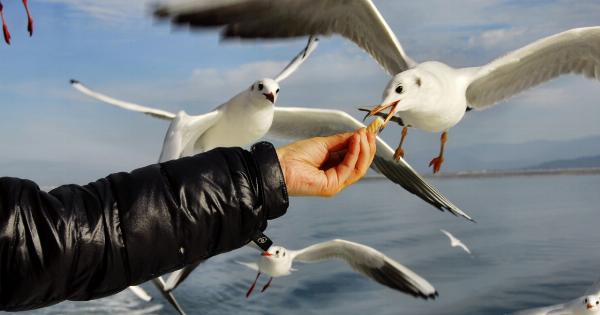 Cold weather eating from around the world