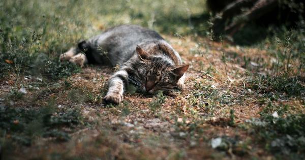 How to Banish Sleeping Cramps Forever: 3 Solutions