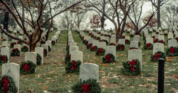 When Death Becomes a Welcome Alternative: Euthanasia in Perspective