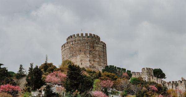 Rocca’s Shield: A Fortress for Your Health