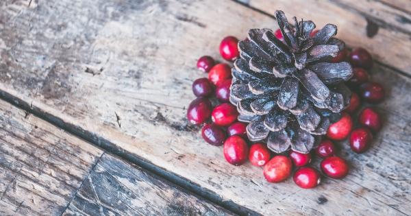 The Mighty Cranberry: A Winter Fruit that Prevents Infections