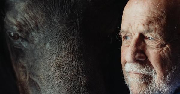 Grey Hair and Stress: Separating Fact From Fiction