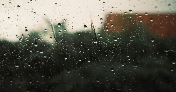 Is Showering Every Day Bad for You?
