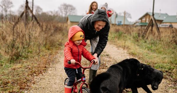 Three Tactics for Helping Your Scaredy-Dog