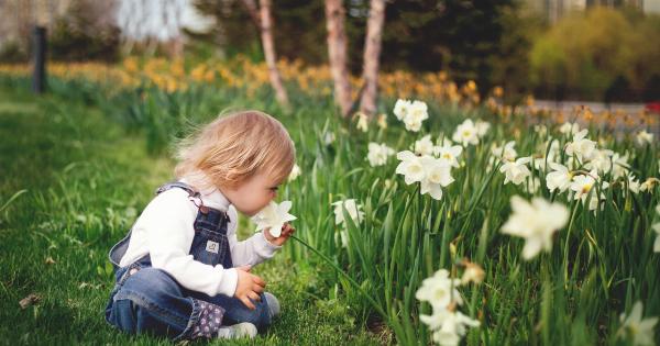 Release the child’s curiosity – let them investigate the outdoors