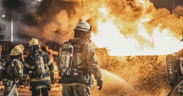 Emergency Alert: Europe’s Primate Population Exploding