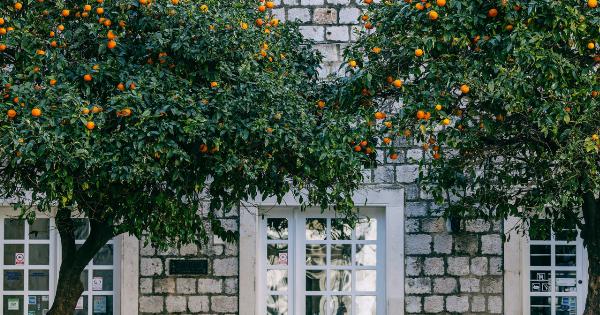 A Citrus Twist on Classic Greens: Tangerine Salad