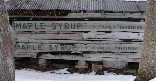 Maple syrup cleans the arteries!