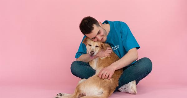 A lesson in love: Peanut and the importance of animal adoption