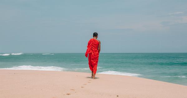 Escaping with a monk: embracing solitude and finding peace