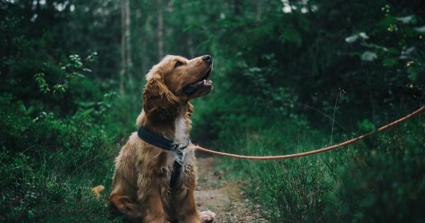 Will the new pet law make it easier to own pets in apartments?