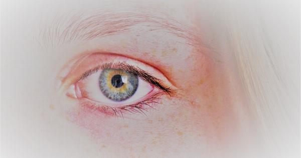 Enhance Your Look: The Art of Eyelash Extensions