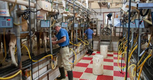 Why Choose Goat Dairy Products over Cow’s Milk?