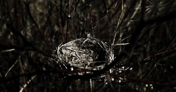 When parenthood turns empty nest