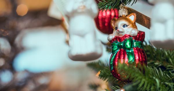 30 tips to protect your Christmas decoration from your cat