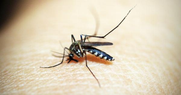 Mosquito sting remedies you shouldn’t use