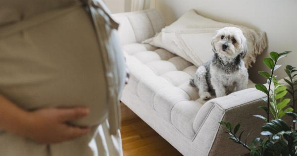 What should pregnant women know about living with dogs?