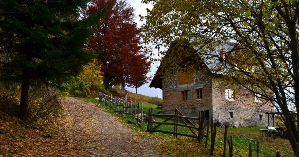 The Eroticism of Fall