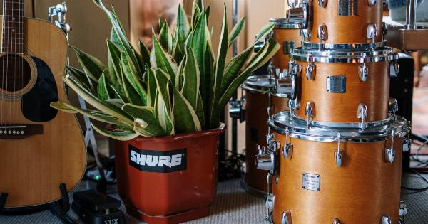 Drumming and Music: An All-Encompassing Guide
