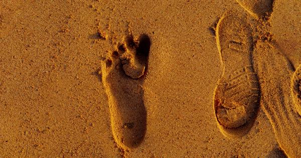 Feet Don’t Lie: How Three Marks on Your Feet Reveal B12 Deficiency