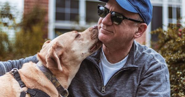 Can an elderly dog adoption increase our happiness?
