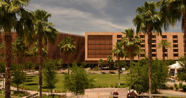 Unleash the Nutritional Secrets of Tempe with this Comprehensive Guide!