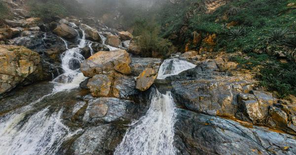 Preventing Waterfall with the Help of Tropical Fruit