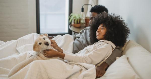 Dog: Loud and proud during tranquil times?