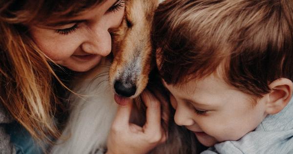 The Dos and Don’ts of Interacting with Dogs Around Children