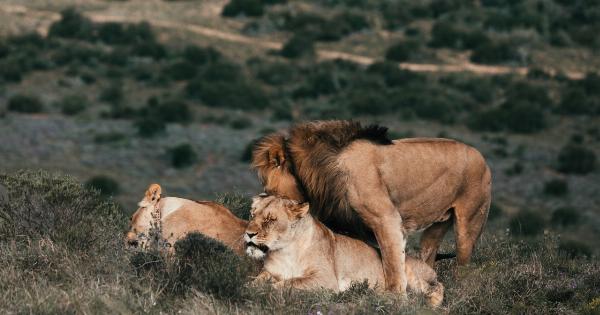 Factors affecting the growth of a relationship