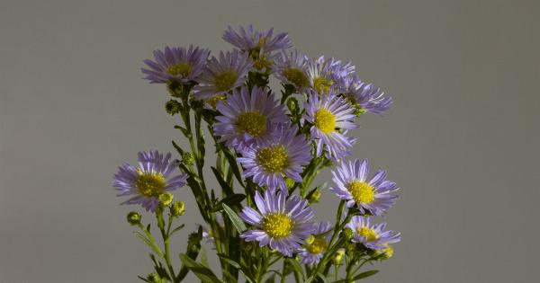 Beyond pollen: 7 surprising sources of allergies