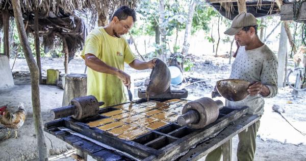 Panela vs Sugar: Which One is Healthier?