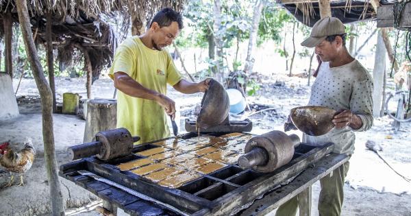 Panela vs Sugar: Which One is Healthier?