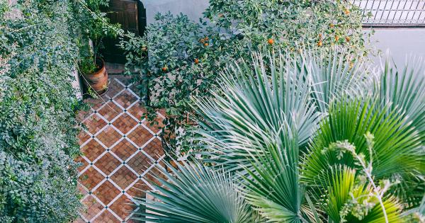 How long does watermelon stay fresh at different temperatures?