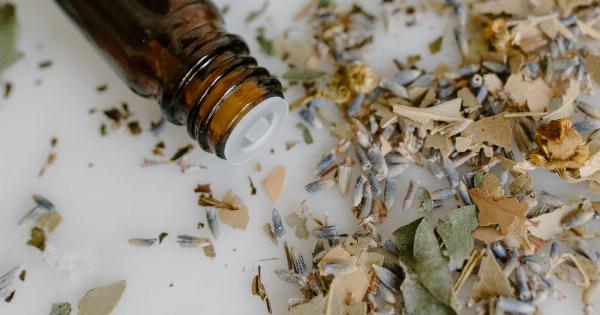 8 essential herbs for warding off dementia