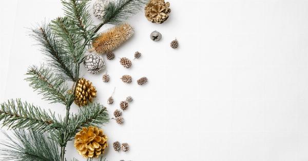 Get back in shape after holiday season with these tips