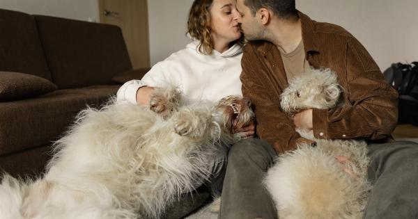 Should you avoid kissing dogs on the mouth?