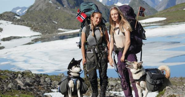 ‘Unexplained illness’ claims dogs in Norway