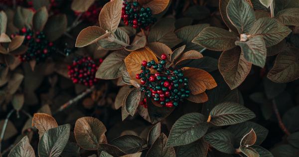 Don’t Fall for These 7 Fruit Myths