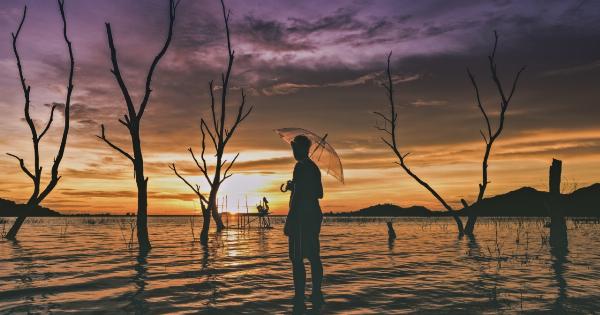 The Deadly Consequences of Loneliness
