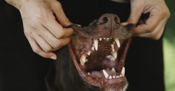 Understanding the significance of white lint on your tongue