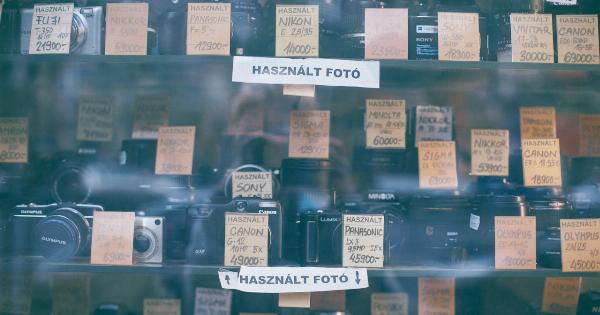 Through the lens of Roula Revi: Urticaria and Psoriasis in Focus