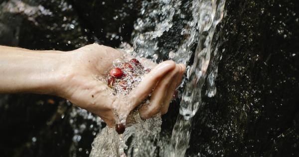 10 reasons to wash your hands with cold water