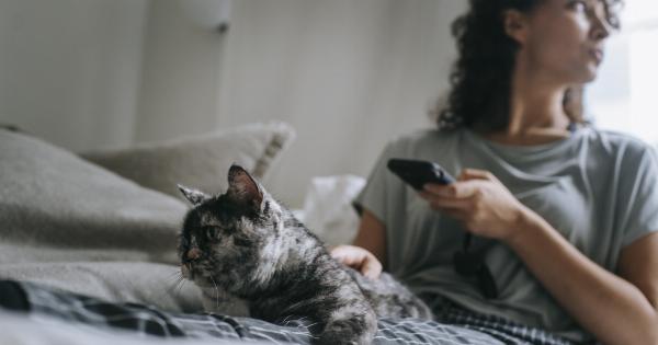 Passed away: The feline internet sensation-Nanos