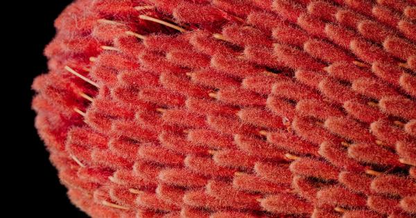 Unusual growth in thyroid nodules despite treatment